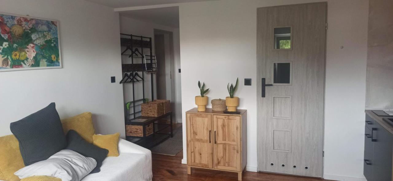 Apartment Loft 2